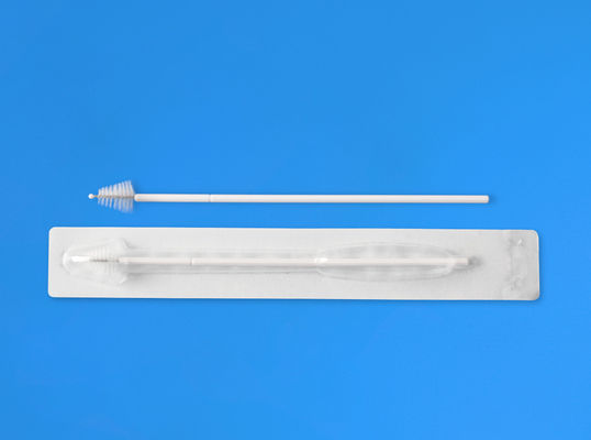 Length 168mm Cell Collection Brush Sampling Cervical Gynecological Brush Nylon Sampling Cervical Smear Examination Brush