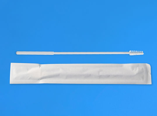 High Quality Disposable Sterile Female Gynecological Medical Cervical Cytology Brush Cytobrush