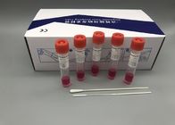Flocked Nylon Nasal Throat Swab VTM Disposable Virus Sampling Kits